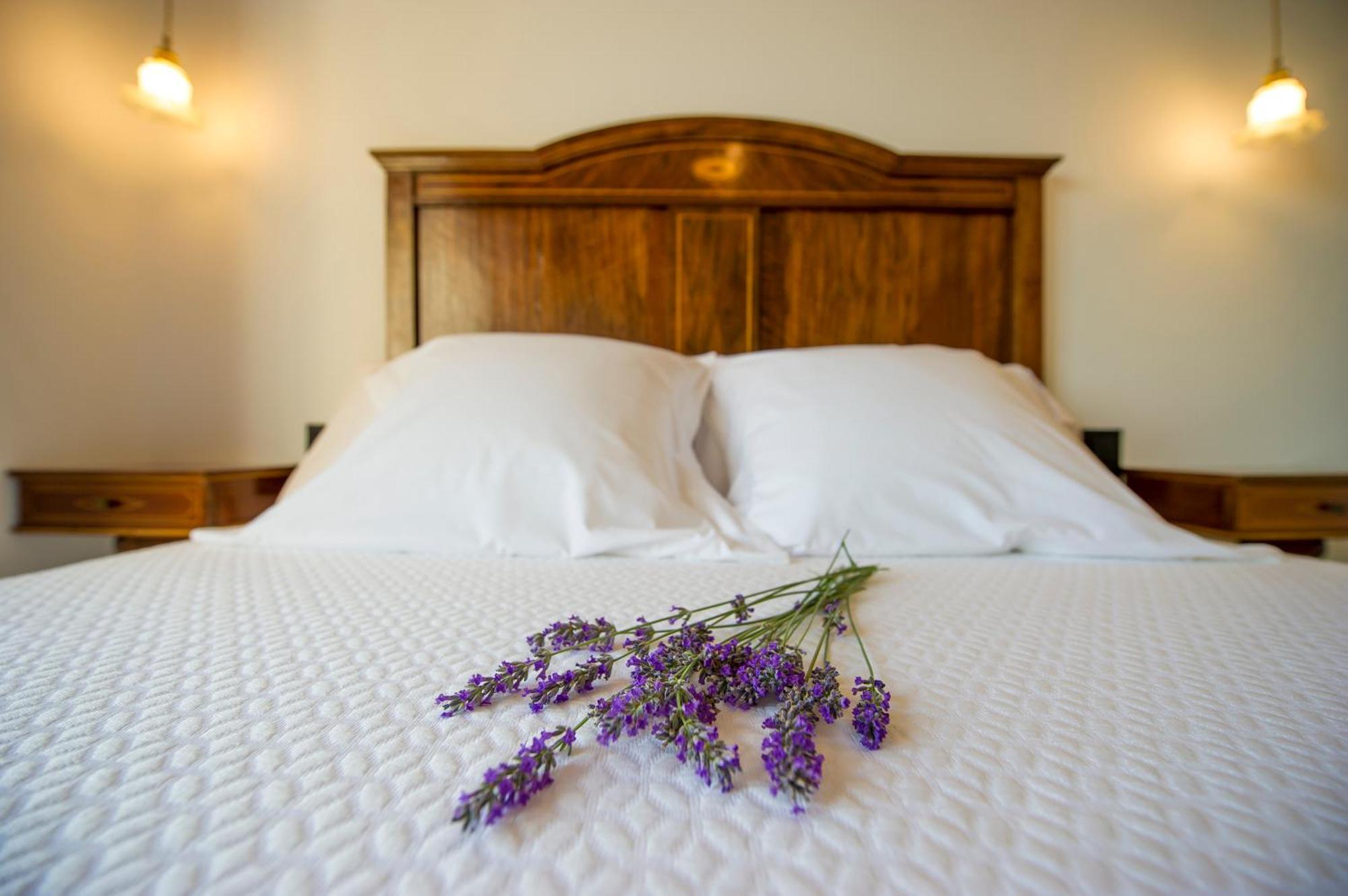 Bolet Casa Modernista Bed & Breakfast Castellvi de la Marca Dış mekan fotoğraf