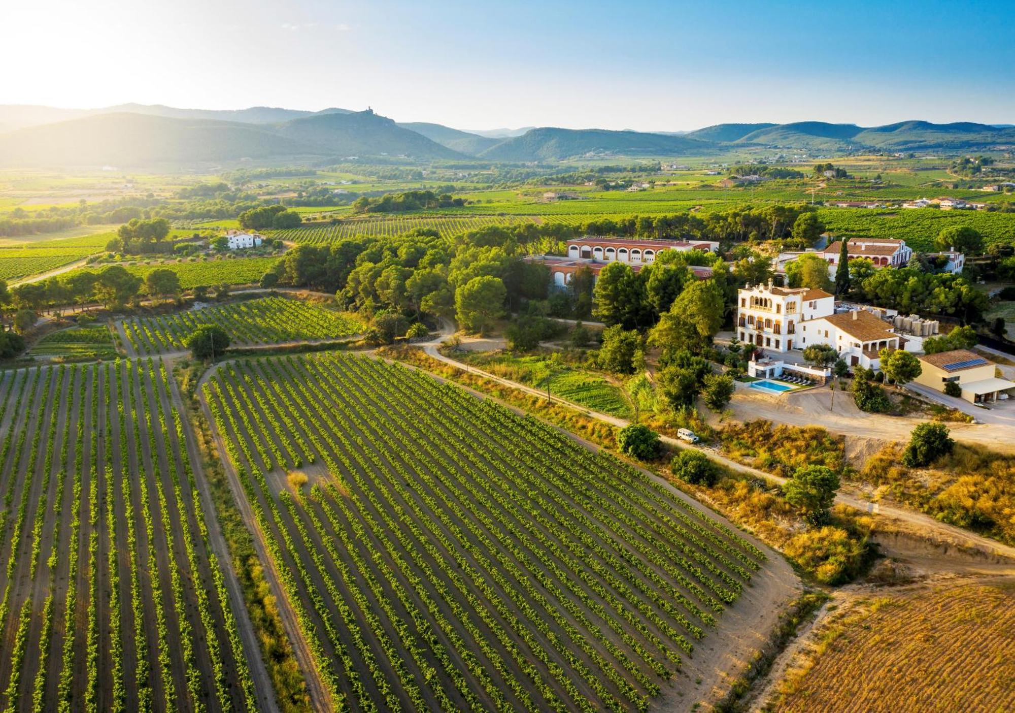 Bolet Casa Modernista Bed & Breakfast Castellvi de la Marca Dış mekan fotoğraf