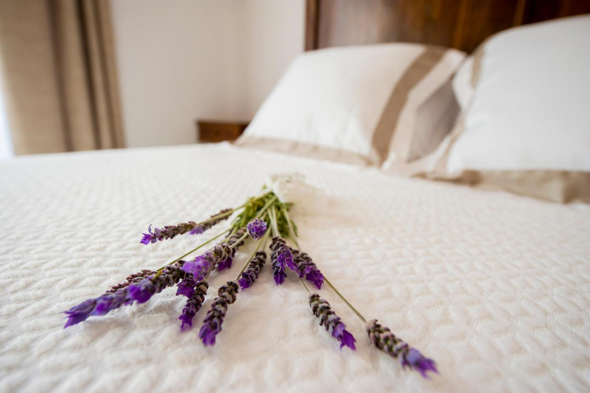 Bolet Casa Modernista Bed & Breakfast Castellvi de la Marca Dış mekan fotoğraf